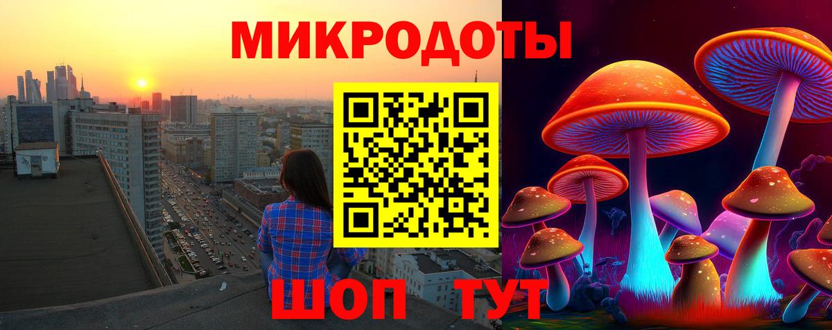 Галлюциногенные грибы MAGIC MUSHROOMS Отрадное