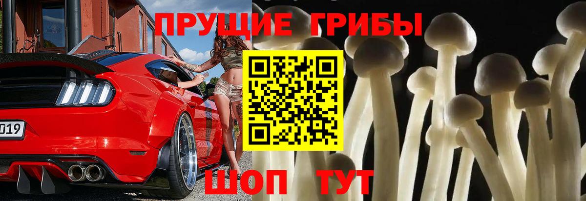 Галлюциногенные грибы Magic Shrooms  Вход с VPN  Отрадное 